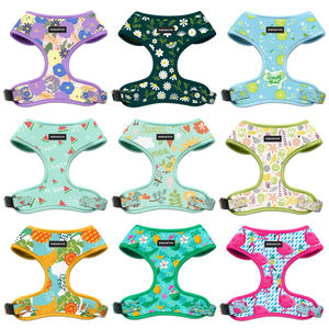 Conjunto de arnés de verano para perros Nuevo diseño Logotipo personalizado Personalizado Sin tirones Arnés de neopreno para perros Correa Conjunto de collar de plomo - Product Image 2