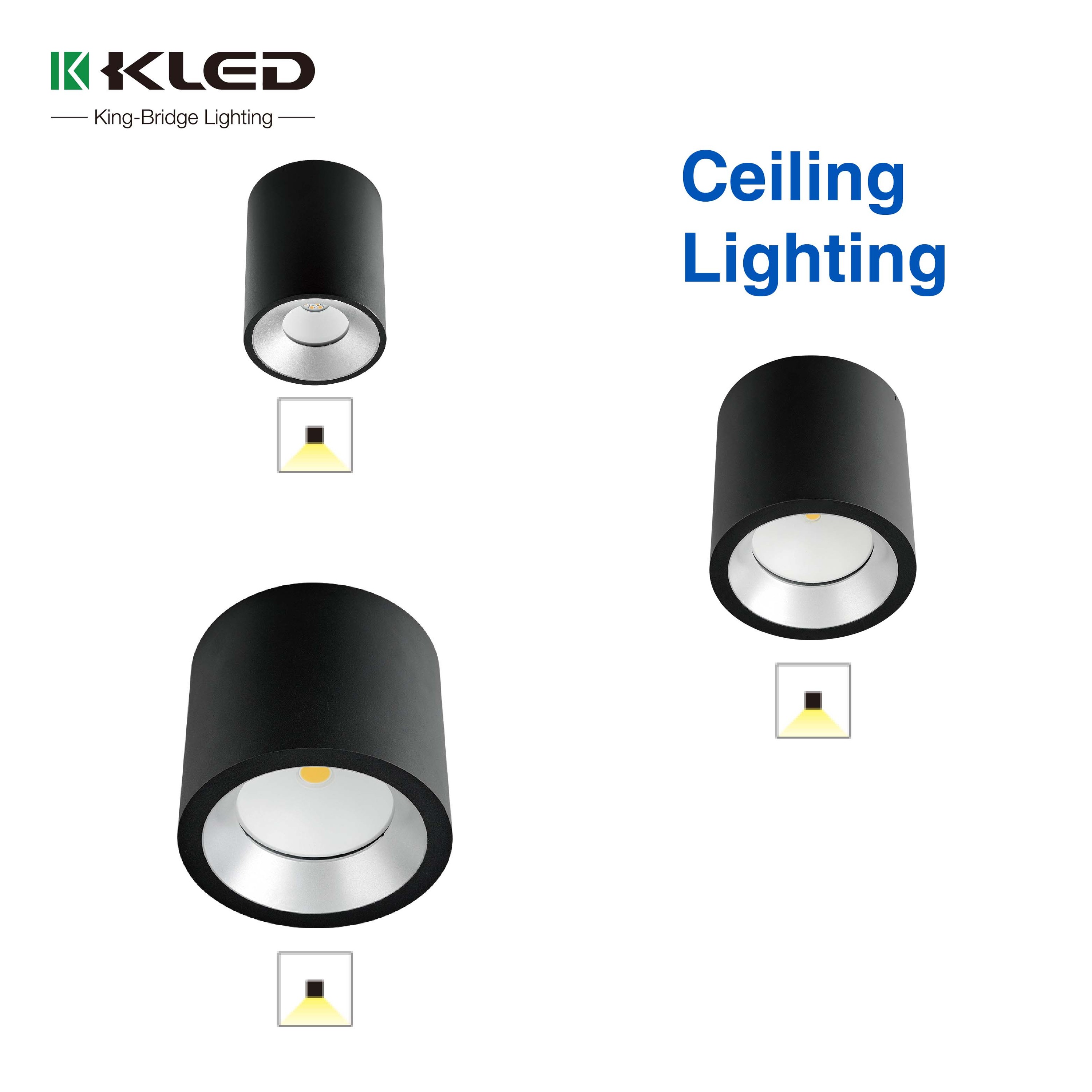 Led Ceiling Light Ceiling Installation Lamp Die Casting Aluminum Body Cob Led Outdoor Light Round Shape Light Ceiling Mounted