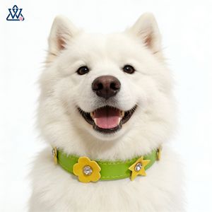 Colliers pour animaux de compagnie en cuir PU, petit collier floral pour chien, orné de bijoux multicolores pour chats et chiens, toutes saisons - Product Image 1
