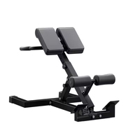 Machine d'extension dorsale à 45 degrés, banc d'hyperextension réglable, chaise romaine