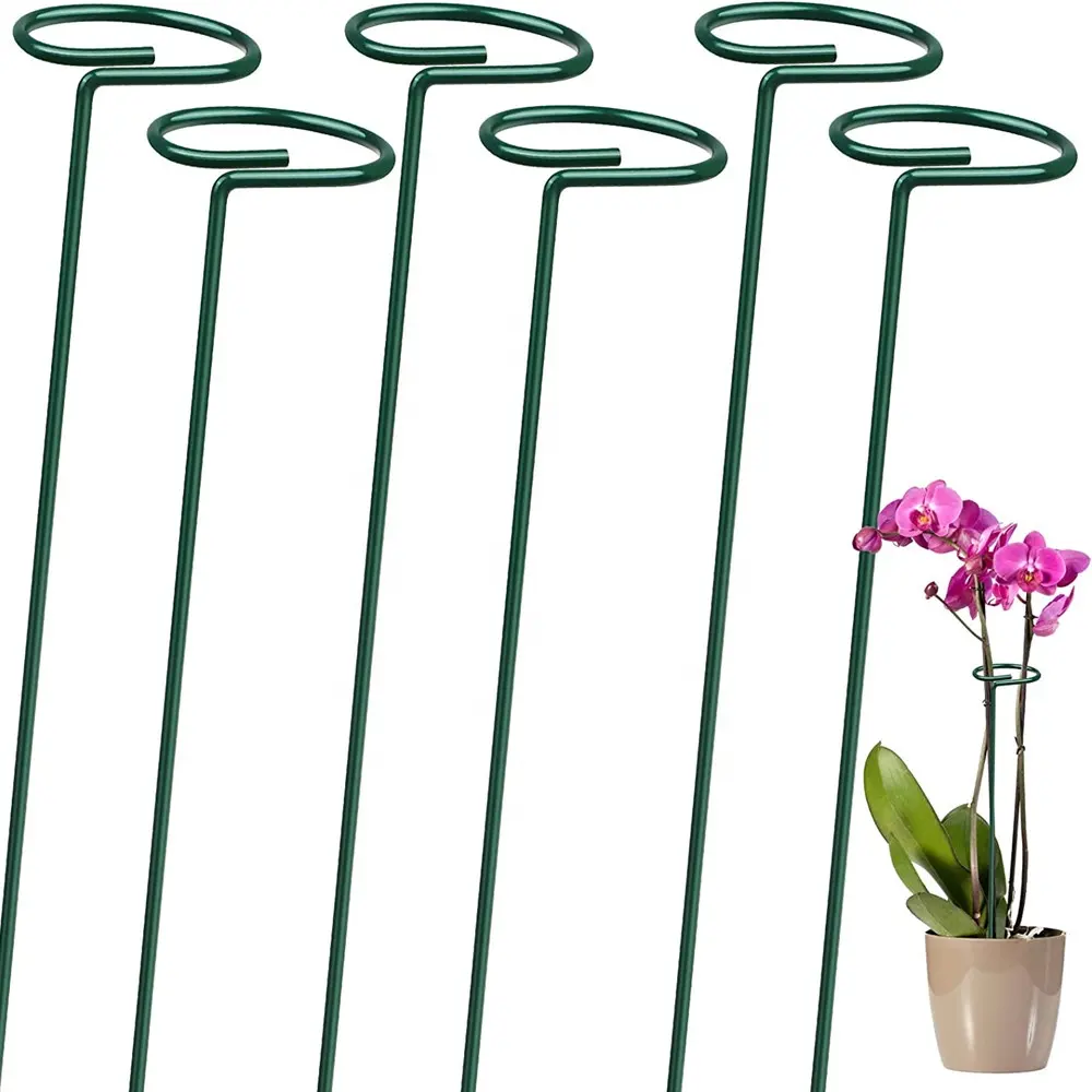 6 Pack Plant Stakes Voor Bloemen Metalen Eenstengel Plant Ondersteuning Tuin Palen Voor Amaryllis Orchidee Lelie Rozentomatoe