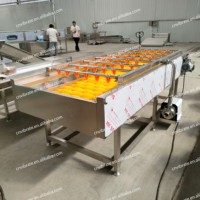 VBJX RVS Groente- en Fruitwater Spuit Hogedrukreiniger Borstel Spuit Reinigingsmachine