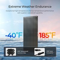 Panneau solaire monocristallin IBC haute efficacité 200W TUV pour une efficacité supérieure à 20,7% Design compact résistant aux intempéries