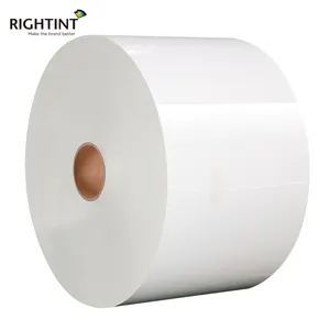 Flexographie chinois Top 10 fabricant de papier auto-adhésif gros vinyle autocollant rouleaux flexion impression prix effectif étiquette Jumbo