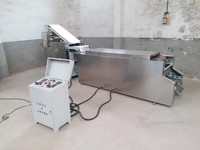 Petite ligne de production de roti entièrement automatique pour le pain libanais, arménien, lavash, crêpe arabe, pain plat, ligne de production avec four à convoyeur
