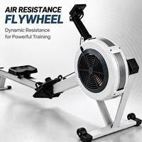 Rameur à air commercial pour entraînement cardio complet du corps, équipement de fitness avec moniteur de performance