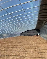 Serre tunnel à simple travée galvanisée à chaud avec film plastique agricole pour la culture de légumes et de fruits