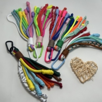 Lanières arc-en-ciel tressées en nylon imprimées à l'écran, écologiques et personnalisées, faites à la main pour femmes, avec crochet pour téléphone portable et porte-clés