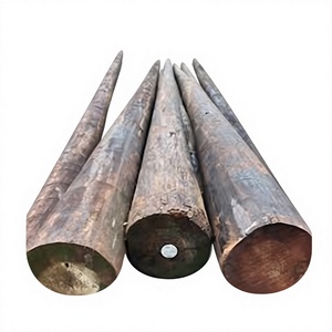 Hot Dip Galvanized Round Steel Bar Hot Rolled Carbon Steel Structural Rod for Fabrication - Product Image 1