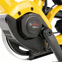 Vélo cargo électrique de qualité industrielle en promotion, roulements à cartouche scellés de 20 pouces, vitesse maximale de 20 MPH, vélo cargo électrique 48V