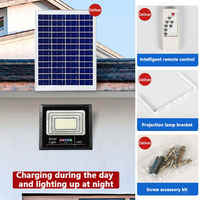 Éclairage de sécurité extérieur en gros, projecteur solaire LED de jardin IP65, 100W-1000W
