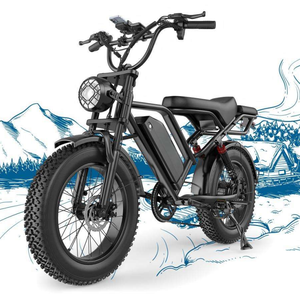 Vélo hybride EU Warehouse, pneus larges, vélo tout-terrain, Fatbike, Ebike 48V, double suspension, 750W, 18Ah, vélo de montagne électrique - Product Image 1
