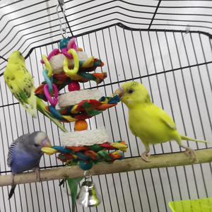 Vendita calda colorato trecce di mais di seta melone pappagallo giocattoli da masticare catena uccello campana giocattoli per animali domestici - Product Image 6