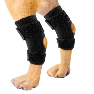 Attelle de Genou pour <span class=keywords><strong>Chien</strong></span>, Protection des Ligaments ACL, Soutien à la Rééducation, Haute Élasticité, Anti-Collision, pour l'Entraînement - Product Image 1