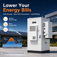 Sistema de Baterías e Inversor Solar Todo en Uno de 50kW 100kW 150kW 112kWh 224kWh 336kWh, Gabinete Exterior para Sistema de Almacenamiento de Energía para Comercios e Industrias