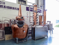 HG Cuivre Distillation Colonne Équipement Complet Alcools Distillateur Équipement De Fermentation À Vendre