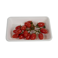 Assiette carrée compostable 6/8/10 pouces en bagasse de canne à sucre pour fêtes et cantines
