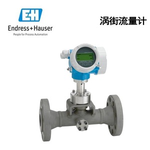 Débitmètre vortex Endress+Hauser DN25 100 pour la mesure de liquides, gaz et vapeurs - Product Image 1