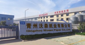 บรรจุภัณฑ์พลาสติกแบบแผ่นสำหรับอุปกรณ์การแพทย์แบบกำหนดเอง  กระดาษปิดผนึกโดยตรงแบบม้วนจัมโบ้ 60-70 แกรม เกรดทางการแพทย์ ฆ่าเชื้อด้านเดียว - Product Image 5