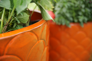 Pot de fleurs en céramique, style moderne compact, avec trou de drainage et glaçure respirante - Product Image 5