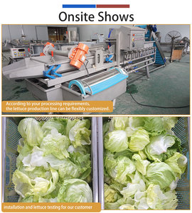 Línea de Procesamiento Automática de Vegetales de 0.5-2t/h, Línea Comercial para Lavado, Corte y Secado de Verduras de Hoja Verde - Product Image 3