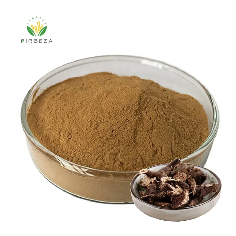 Factory Supply Bulk Black Cohosh Herb Root Extract Powder Pure Natural Black Cohosh