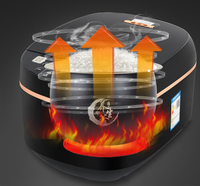 Cuisinière à riz électrique multifonctionnelle intelligente de 5 litres avec boîtier en plastique, programmable, pour usage domestique, en camping-car et en hôtel