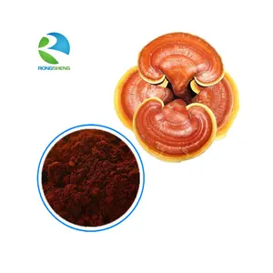 Cuerpo de fruta seca rota de poliporos, Ganoderma, Lucidum, micelio, en polvo, el mejor precio