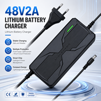 Chargeur de batterie au lithium Lifepo4 48V 2A, protection de sécurité, prise personnalisée, efficacité de 95%, charge intelligente pour vélo électrique, trottinette électrique