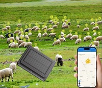 Traceur GPS Beidou 4G mondial pour bétail, étanche IP67, avec fonction de positionnement GPS, alimenté par panneau solaire, vente en gros