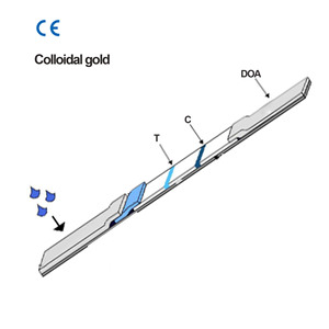 Bandelettes de test urinaire CE pour la détection de drogues FYL - Fentanyl 100/200 Test rapide DOA Dipstick - Product Image 3