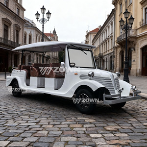 Véhicule de tourisme rétro écologique pour hôtel VIP, voiture électrique classique vintage, couleur personnalisée, voiture classique vintage - Product Image 5