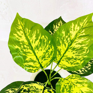 Plante verte artificielle en pot, bonsaï à neuf têtes jaunes tachées, décoration d'intérieur, accessoires de mariage - Product Image 4