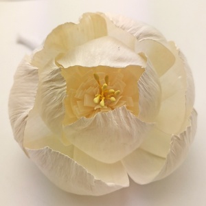 2025 nuevo difusor de flores de madera <span class=keywords><strong>Natural</strong></span> hecho a mano difusor de flores Sola - Product Image 2
