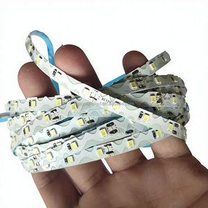 S-shaped Cuttable Copper DC12V Flexible Light Strip with Remote Control for Outdoor Illuminated Signboards - Product Image 1