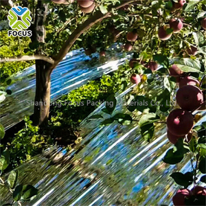 Película Reflectante Agrícola Metalizada de 14-20 micras Utilizada para Huertos de Manzanas - Product Image 4