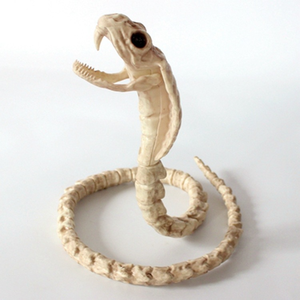 Halloween Horror Calavera Animal Articulaciones móviles <span class=keywords><strong>Esqueleto</strong></span> Murciélago Araña Escorpión <span class=keywords><strong>Rata</strong></span> Serpiente Casa embrujada Accesorios Sapo <span class=keywords><strong>Esqueleto</strong></span> - Product Image 1