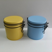 Boîte de rangement en fer pour grains de café et biscuits, en fil d'acier coloré personnalisé, de qualité alimentaire, avec fermeture sécurisée, conteneur en aluminium de haute qualité
