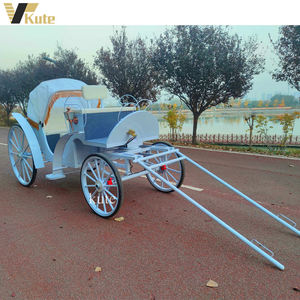 Chariot de tourisme à chevaux à 2 rangées pour transport spécial à vendre / Chariot à chevaux à vendre - Product Image 6