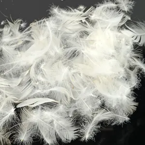 High Quality Washed White 2-4cm Duck Feather Filling Material