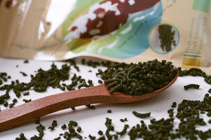 Aliments pour crevettes à granulés de Offre Spéciale Xun Yi Zhuang Alimentation de croissance nutritionnelle pour toutes les étapes de la vie - Product Image 6