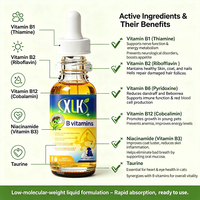 Vitamines B liquides pour animaux de compagnie OEM/ODM - Stimulant immunitaire - Complément nutritionnel - Pour animaux de compagnie