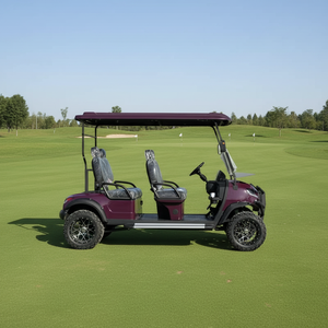 Carrito de <span class=keywords><strong>Golf</strong></span> <span class=keywords><strong>El</strong></span>éctrico HuSurg de 6 Plazas con Freno de Disco Delantero, Autonomía de 70-90 km, Modelo Personalizado para Exportación a China - Product Image 5