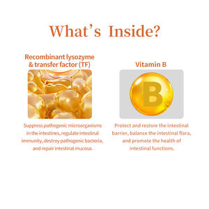 Complément alimentaire OEM&ODM pour soutenir le système immunitaire, gouttes aromatisées, vitamines B pour les diarrhées chez les chats et les chiens - Product Image 3