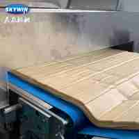Automatische productielijn voor zachte en harde frisdrankcrackers / machines voor het maken van koekjes en biscuits
