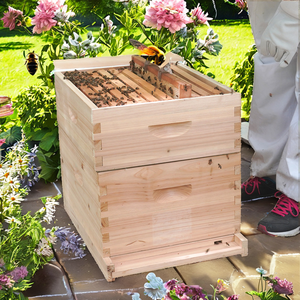 Nuevo Kit de Colmena Langstroth Menger Bee de 2 Niveles y 10 Cuadros, de Madera de Abeto, con 1 Año de Garantía, Sin Montar, 14 kg - Product Image 2