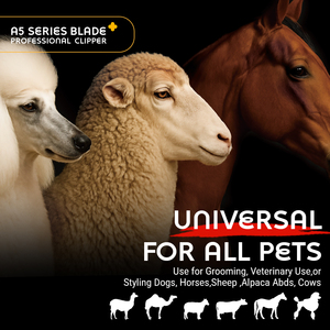 Tondeuse à poils pour chien sans fil LILIPRO EagleX Professional A5, 2 vitesses, tondeuse électrique pour animaux, ensemble de produits de toilettage pour chevaux - Product Image 5