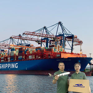 Китай, США, экспедитор, судоходная компания, морские перевозки, FBA, судоходный агент из Китая в США, Великобритания, DDP - Product Image 2