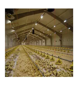 Goedkope Shandong Eieren Kippenhok Prefab 1000m2 Grote Overspanning Pluimveehuis Melkkoe Vee Loodsen Staalconstructies Voor Kippenboerderij