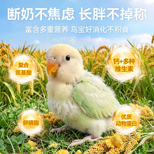 Aliment pour oiseaux Parrot Millet 454g, nourriture nutritive pour l'élevage des budgés et des cockatiels - Product Image 4
